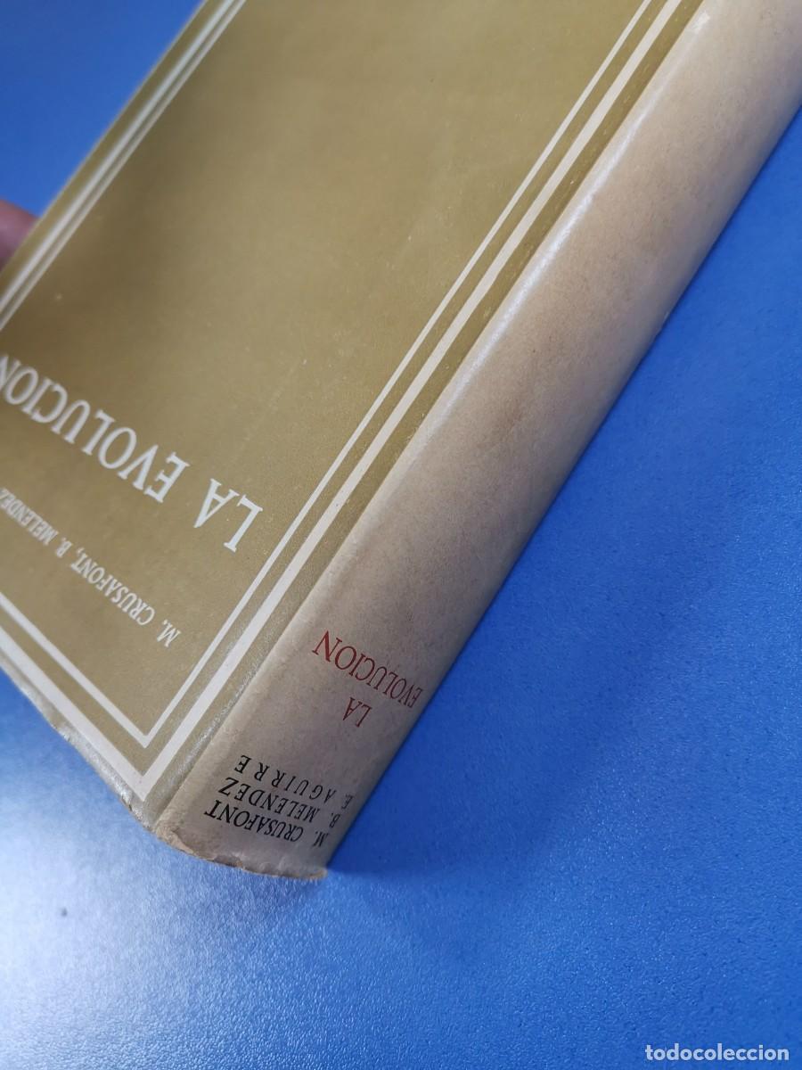 Libros de segunda mano: LA EVOLUCI&Oacute;N. - M. CRUSAFONT. B. MELENDEZ. E. AGUIRRE - Foto 5