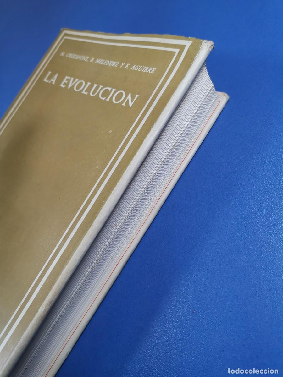 Libros de segunda mano: LA EVOLUCI&Oacute;N. - M. CRUSAFONT. B. MELENDEZ. E. AGUIRRE - Foto 7