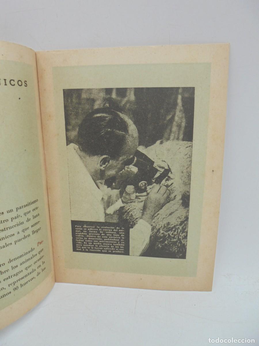 Libros de segunda mano: PSOROPTES COMUNIS OVIS. LABORATORIOS REUNIDOS. PAGS: 10. - Foto 2