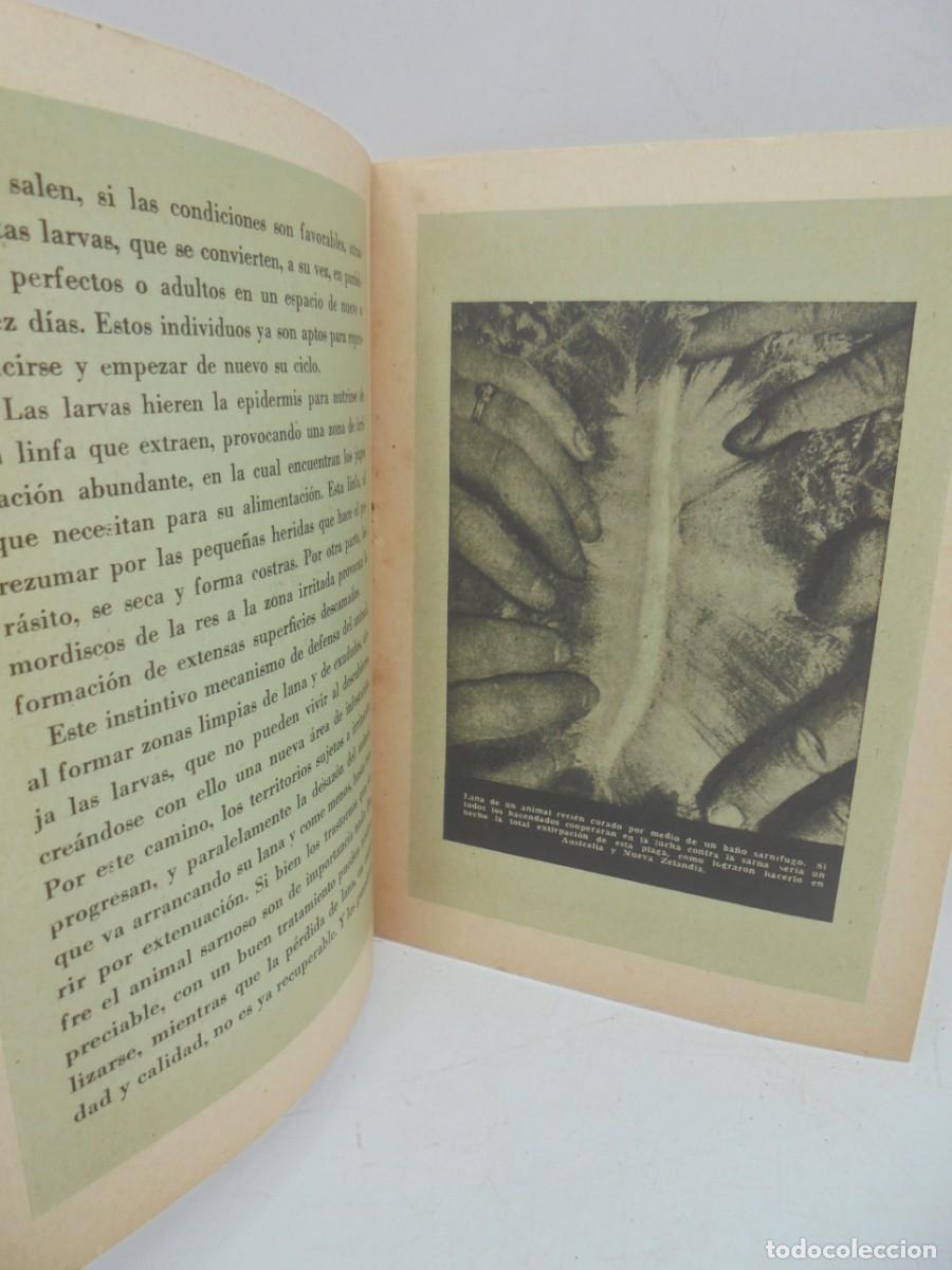 Libros de segunda mano: PSOROPTES COMUNIS OVIS. LABORATORIOS REUNIDOS. PAGS: 10. - Foto 3
