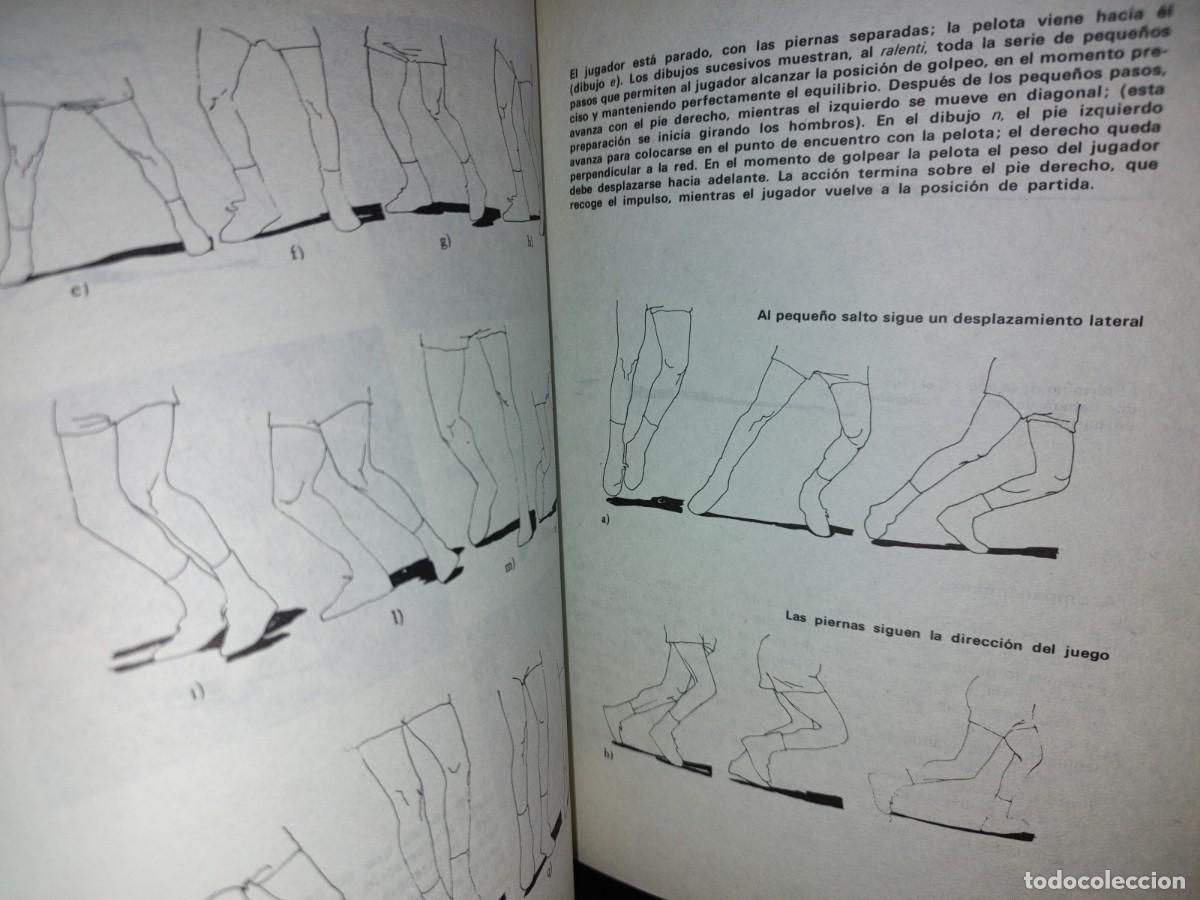Libros de segunda mano: 113- EL TENIS EN 13 LECCIONES - FAUSTO GARDINI - EDITORIAL DE VECCHI - 1976 - Foto 6