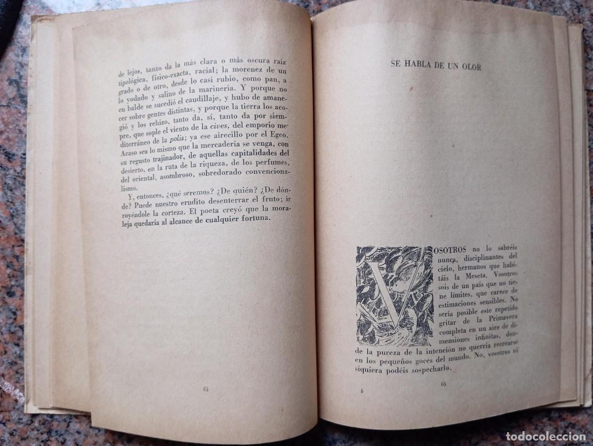 Libros de segunda mano: LIBRO DE ELCHE - SALVADOR PEREZ - Foto 2