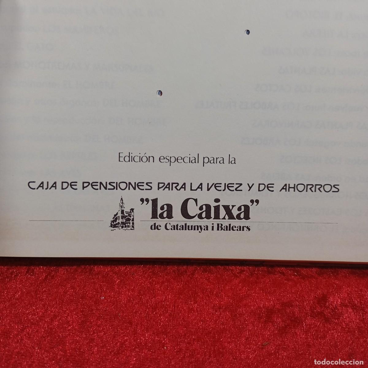 Libros de segunda mano: TU Y LA NATURALEZA - DAVID SHARP / 1.467 - Foto 4