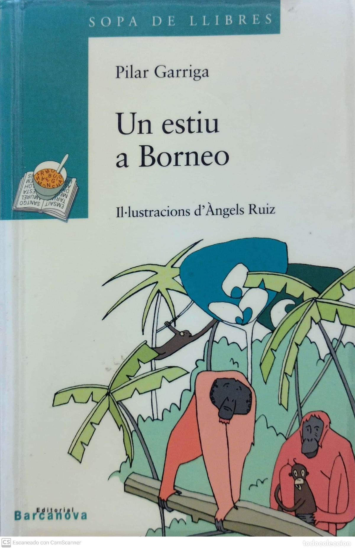 Libros de segunda mano: Un estiu a Borneo - Pilar Garriga - Foto 1