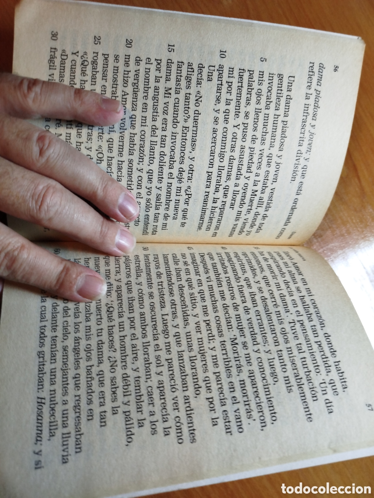 Libros de segunda mano: La vida nueva. Dante. Biblioteca de el Sol. - Foto 2