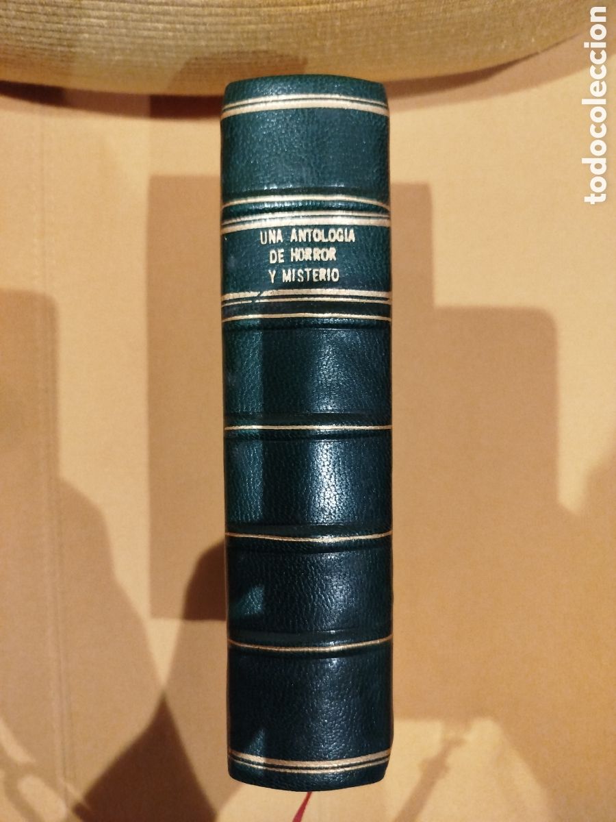 Libros de segunda mano: UNA ANTOLOG&Iacute;A DE HORROR Y MISTERIO - Foto 1