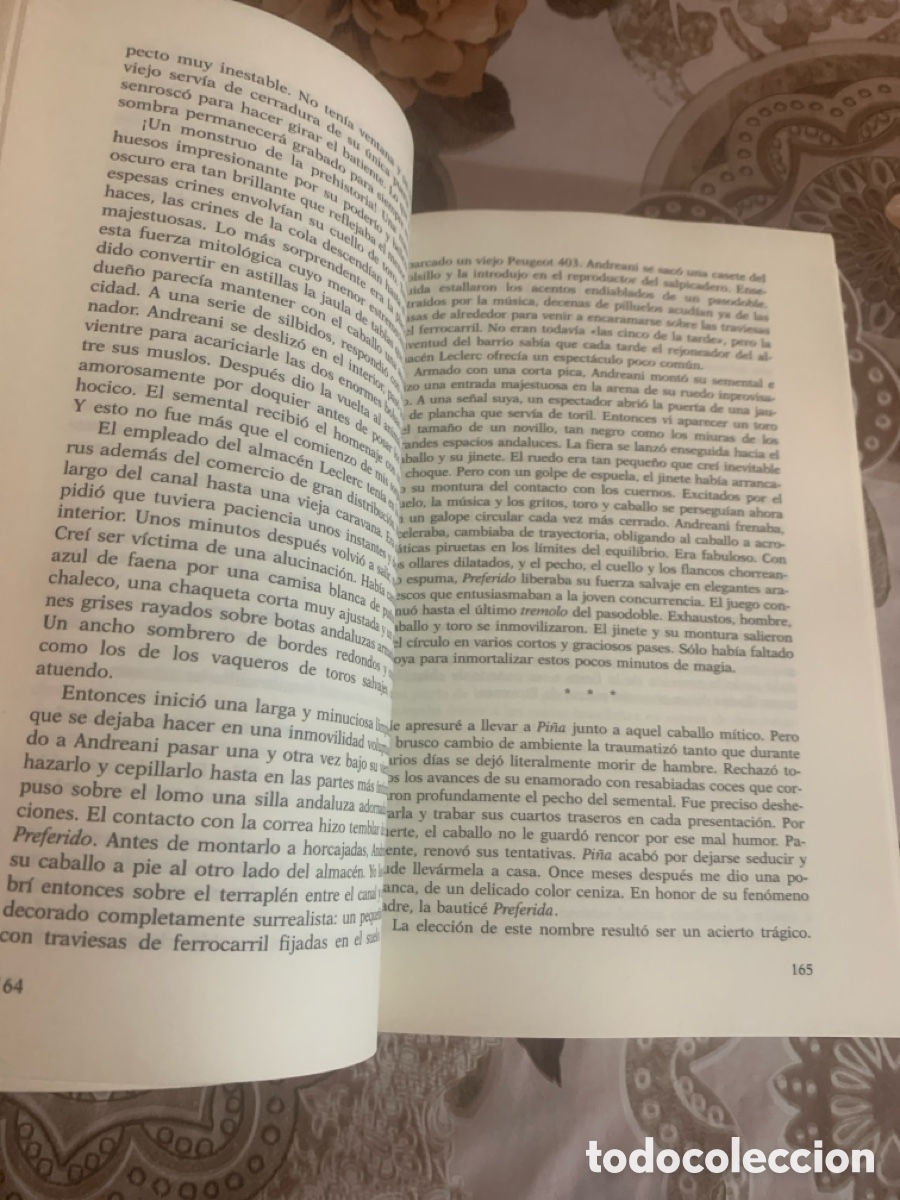 Libros de segunda mano: Mil soles. Dominique Lapierre. - Foto 13