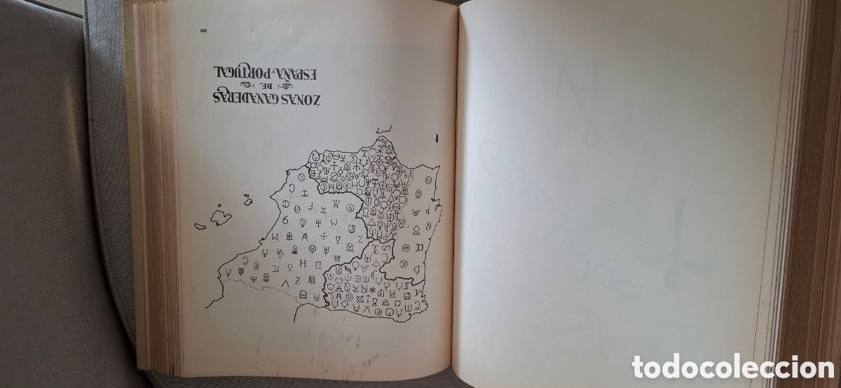 Libros de segunda mano: LIBRO DE ORO TAUROMAQUIA - Foto 11