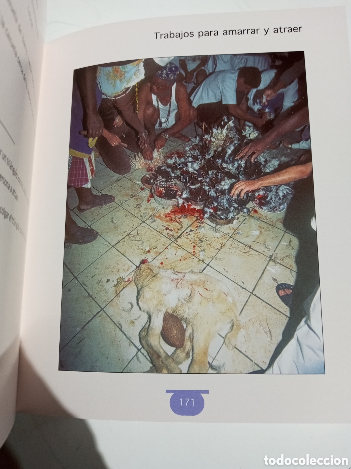 Libros de segunda mano: SANTER&Iacute;A CUBANA.RITUALES Y MAGIA. - Foto 4