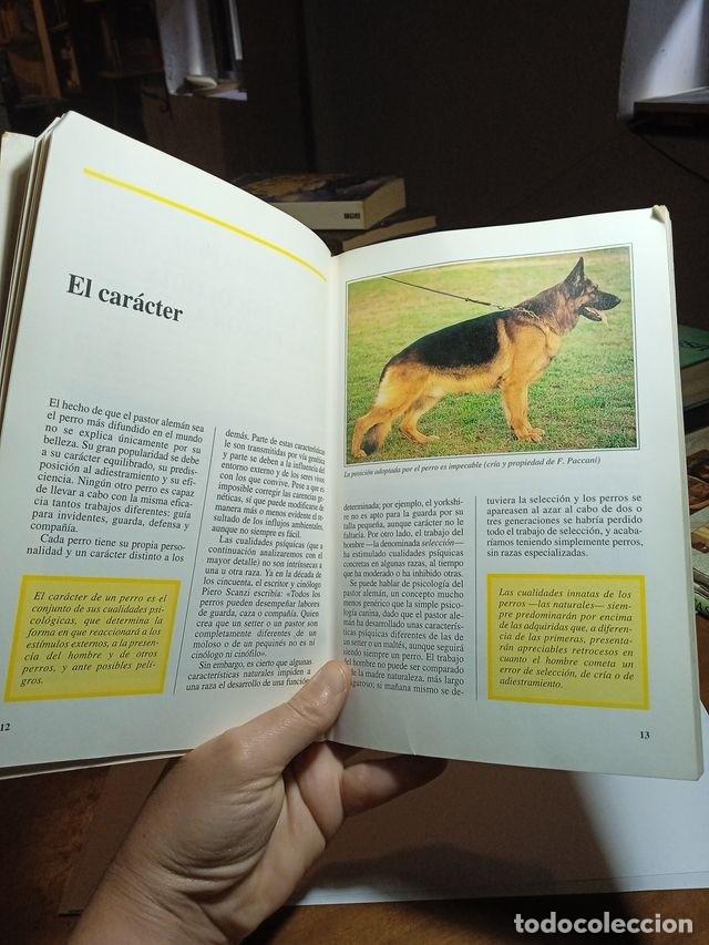 Libros de segunda mano: Adiestramiento del pastor Aleman - Foto 2