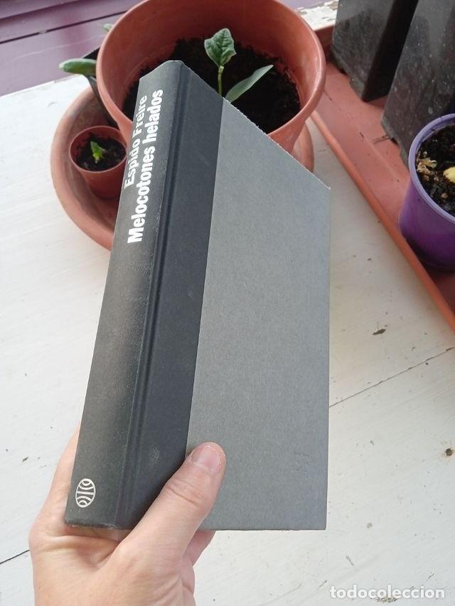 Libros de segunda mano: Melocotones helados,Espido Freire - Foto 1