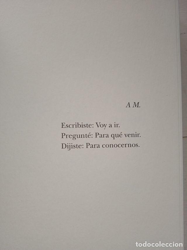 Libros de segunda mano: Melocotones helados,Espido Freire - Foto 3