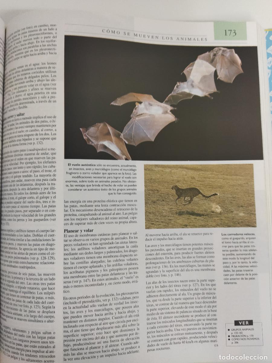 Libros de segunda mano: Enciclopedia Tematica Guinness 1995 El Norte de Castilla - Foto 4