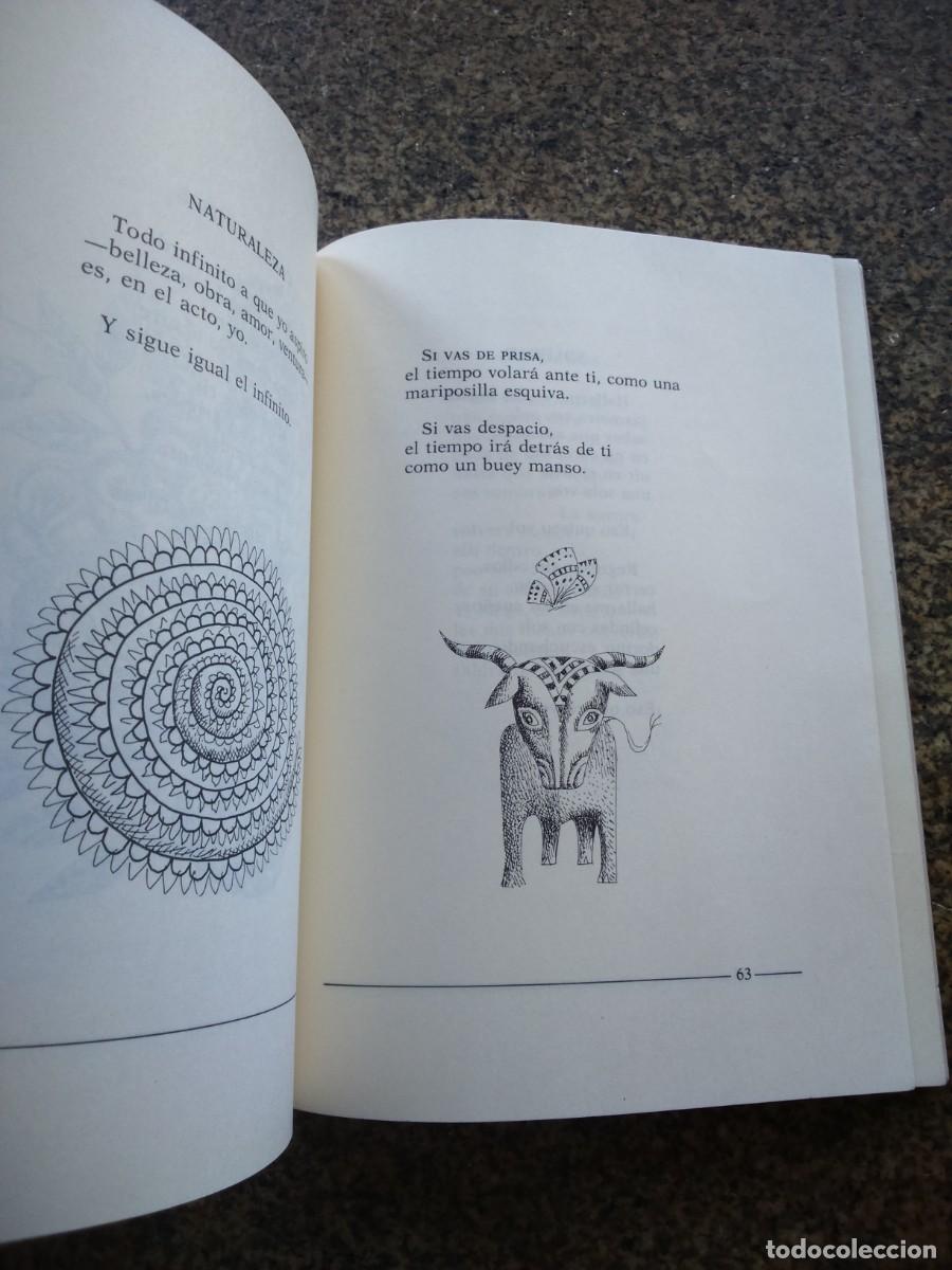 Libros de segunda mano: JUAN RAMON JIMENEZ PARA NI&Ntilde;OS -- EDICIONES DE LA TORRE 1984 -- - Foto 2