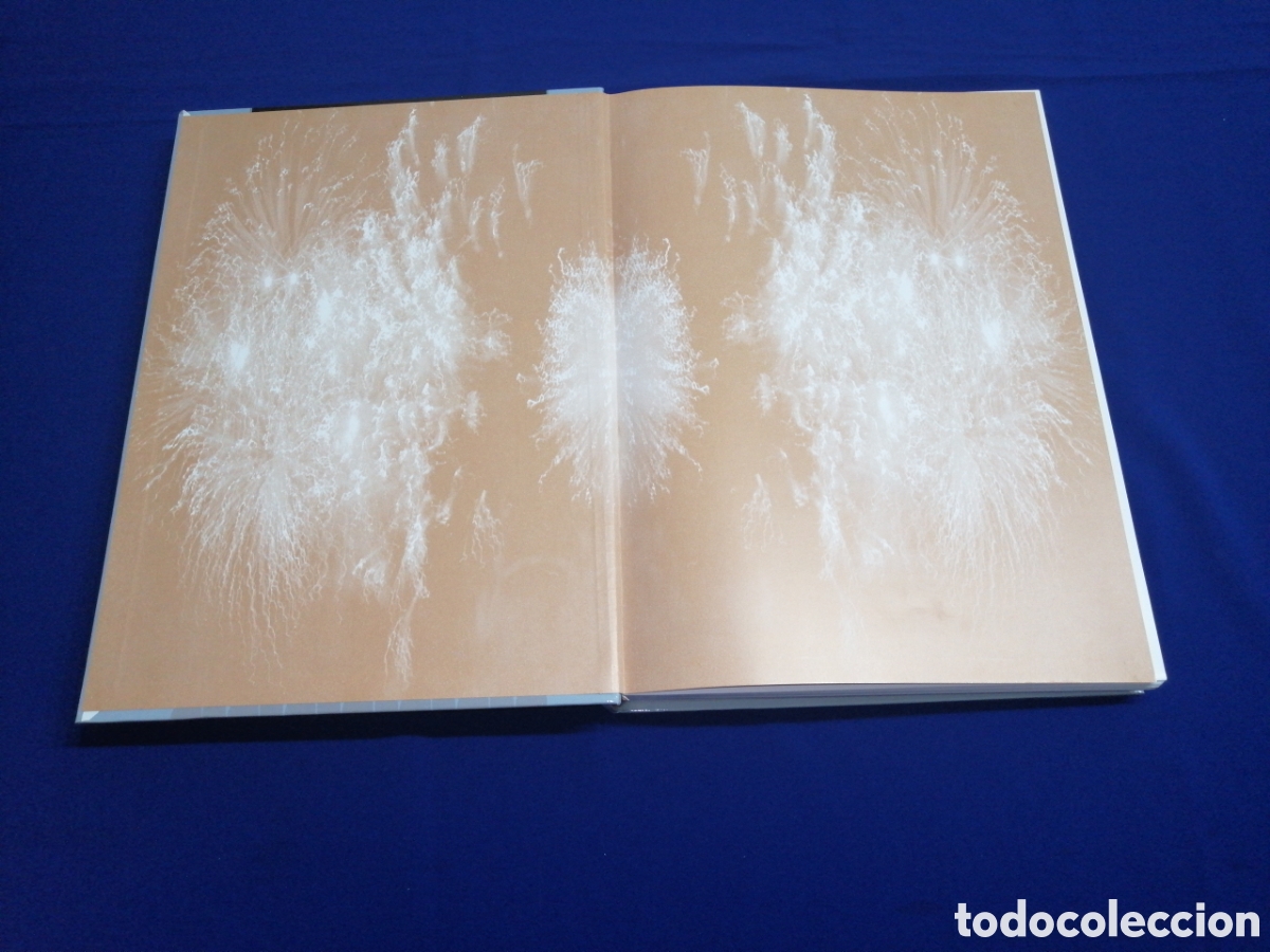Libros de segunda mano: LIBRO FALLERO 1996 JUNTA CENTRAL FALLERA - Foto 2