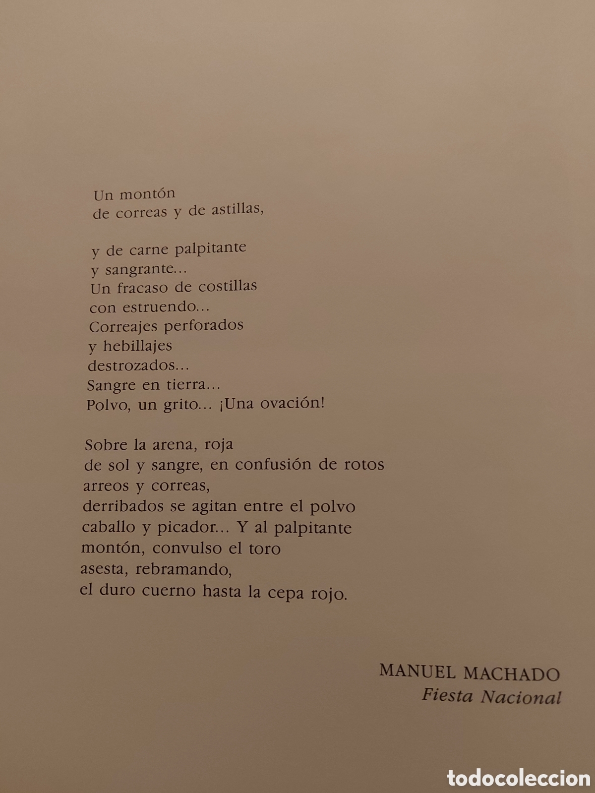 Libros de segunda mano: Tauromaquia negra numerado. - Foto 7