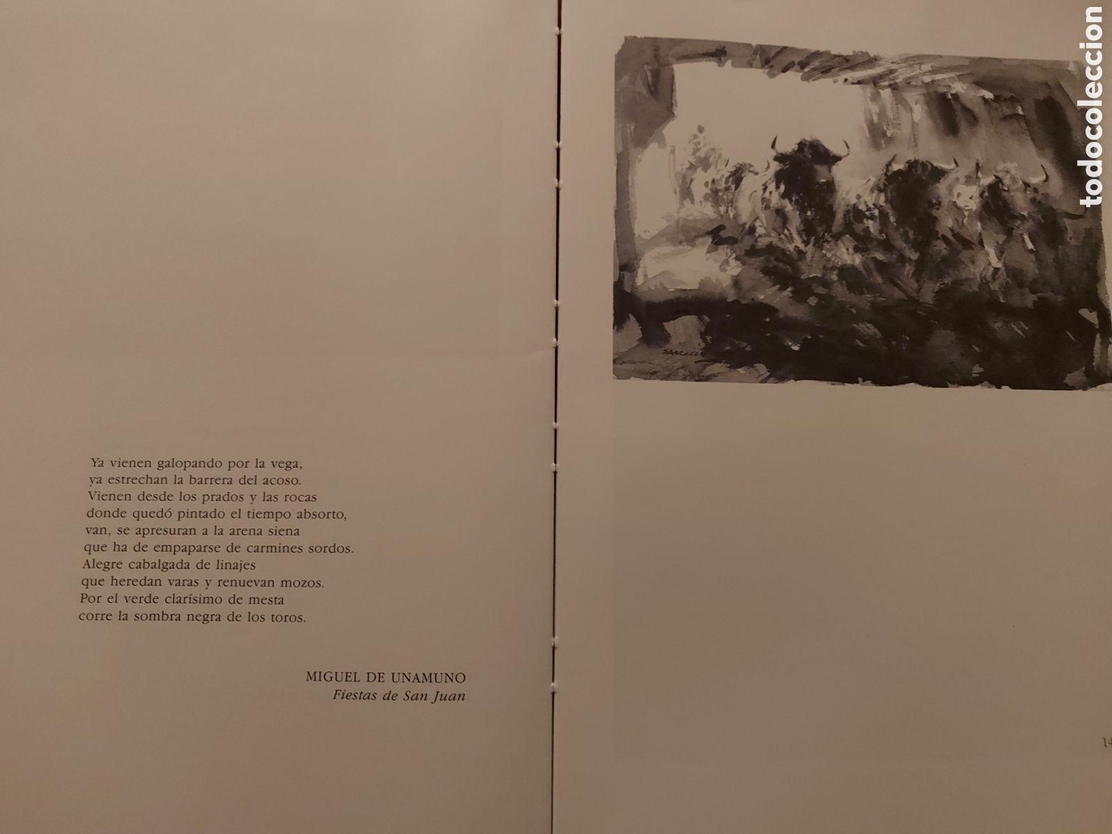 Libros de segunda mano: Tauromaquia negra numerado. - Foto 8