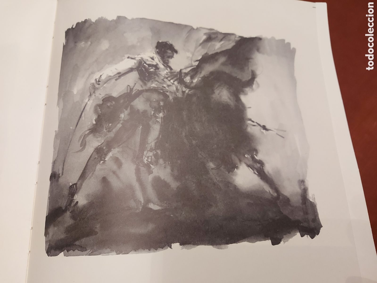 Libros de segunda mano: Tauromaquia negra numerado. - Foto 1