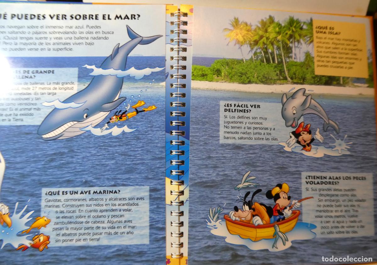 Libros de segunda mano: &iquest; QUE SABES DE EL MAR ? DISNEY , ANIMADO , INTERACTIVO nuevo - Foto 3