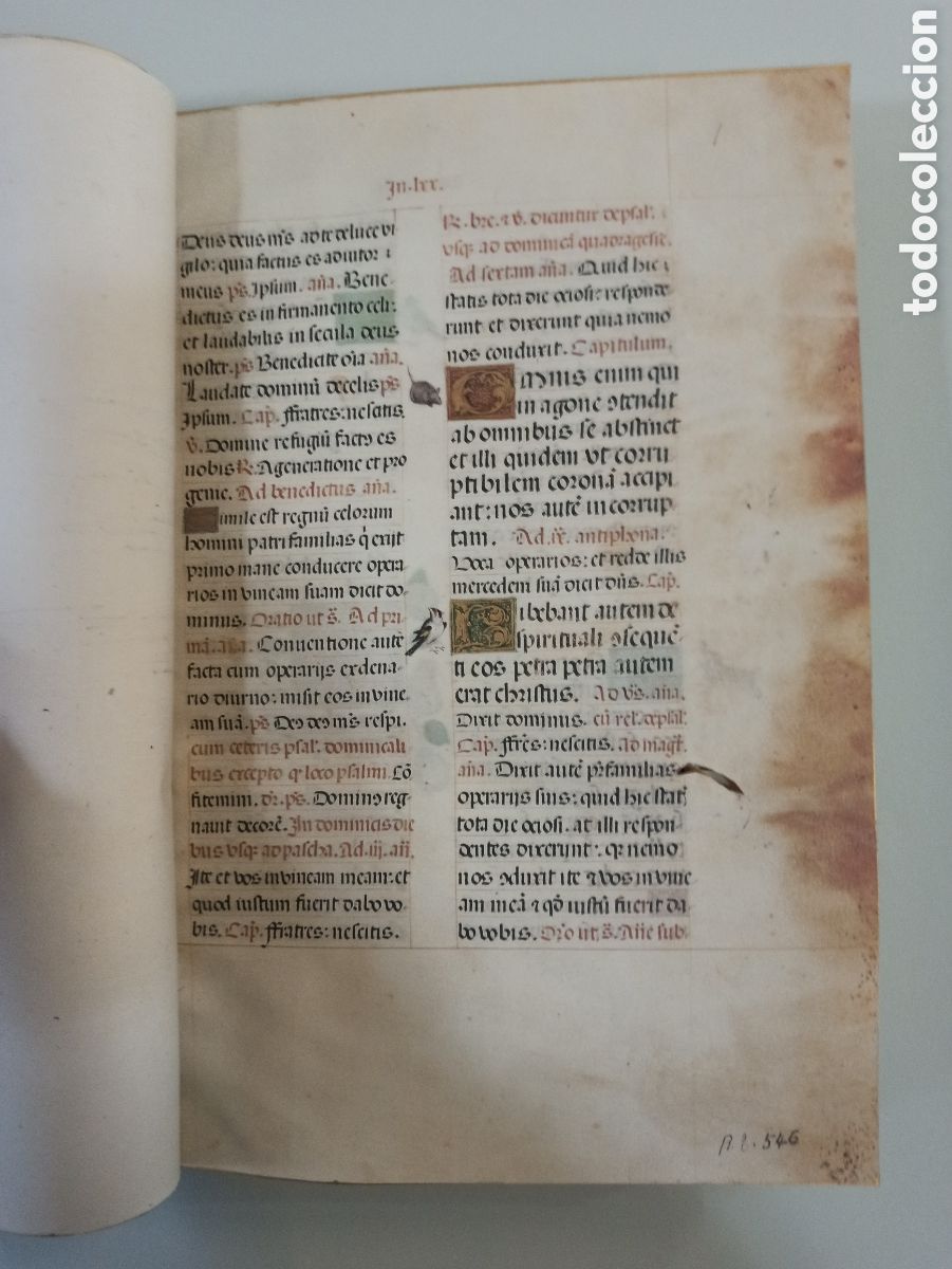 Libros de segunda mano: LIBRO DE HORAS CONDESA DE BERTIANDOS. ED. FACS&Iacute;MIL. - Foto 13