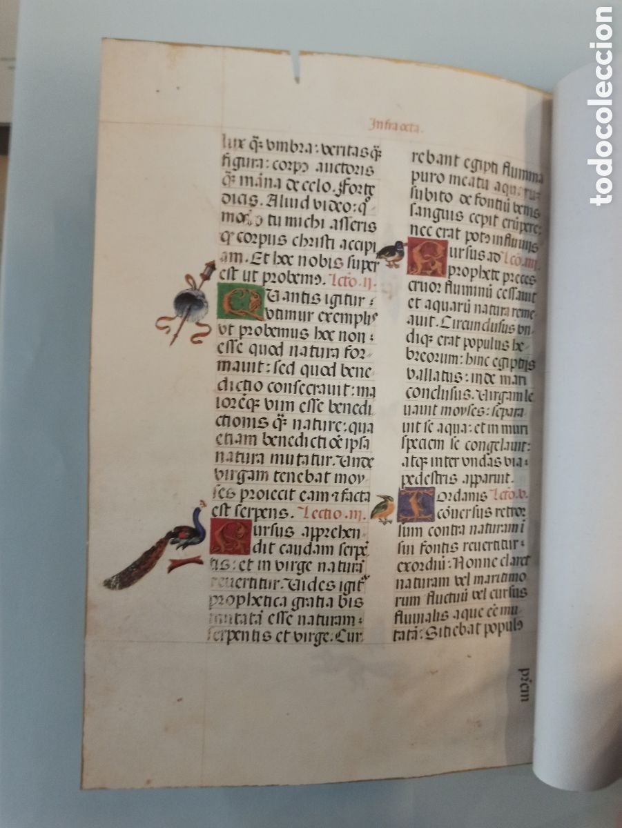 Libros de segunda mano: LIBRO DE HORAS CONDESA DE BERTIANDOS. ED. FACS&Iacute;MIL. - Foto 29