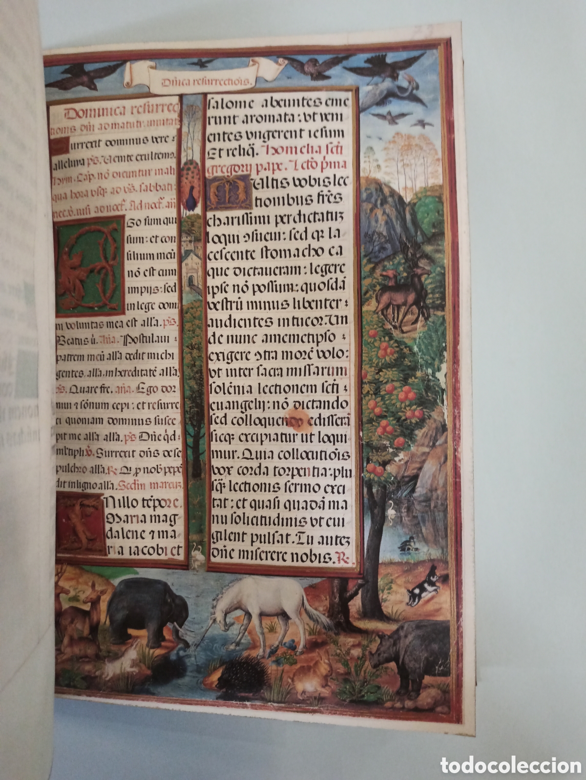 Libros de segunda mano: LIBRO DE HORAS CONDESA DE BERTIANDOS. ED. FACS&Iacute;MIL. - Foto 1