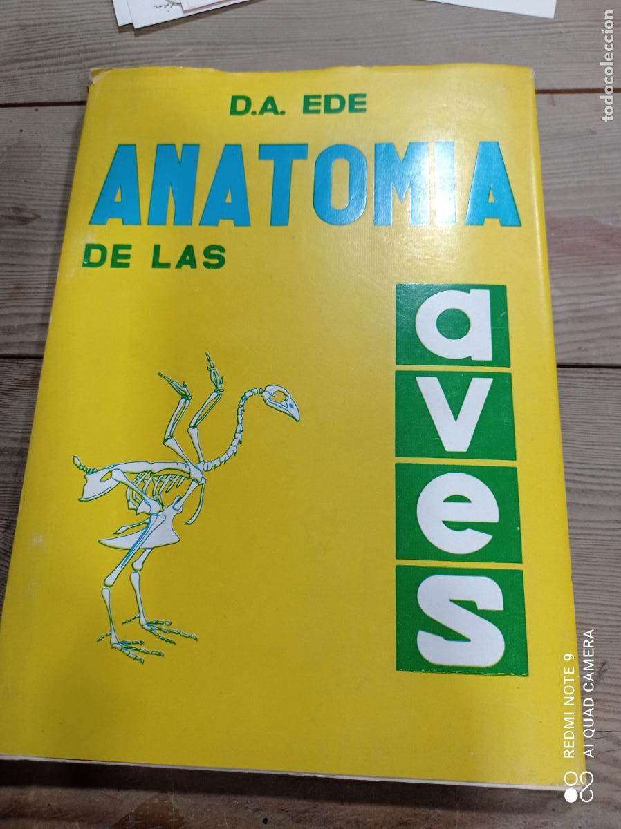 Libros de segunda mano: ANATOM&Iacute;A DE LAS AVES. D.A. EDE. ED.ACRIBIA, 1965. 136 PP - Foto 1
