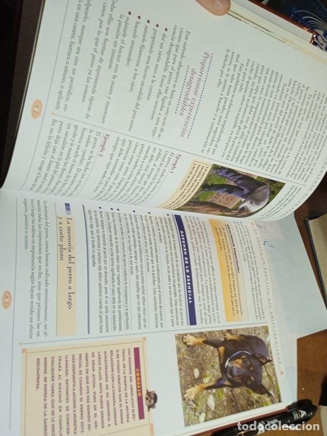 Libros de segunda mano: Gran libro del entrenamiento de tu perro - Foto 2
