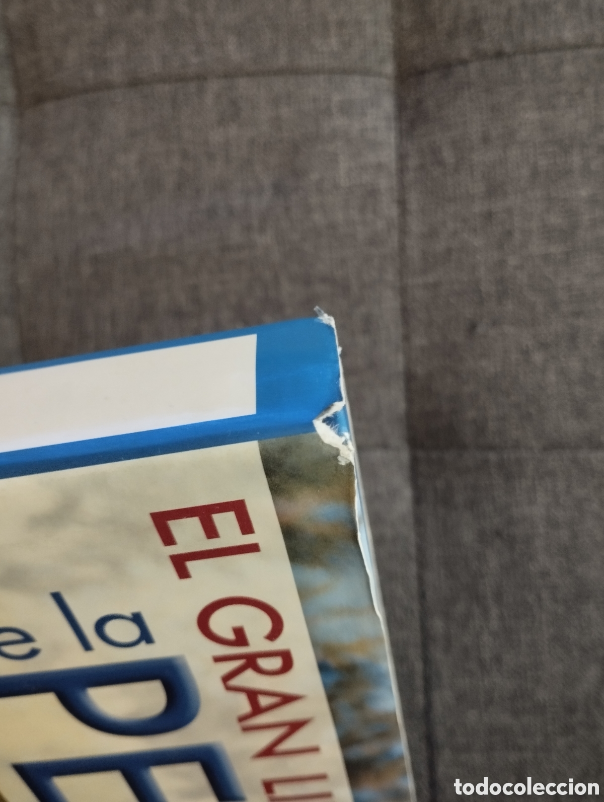 Libros de segunda mano: EL GRAN LIBRO DE LA PESCA (EDITORIAL LIBSA) - Foto 2