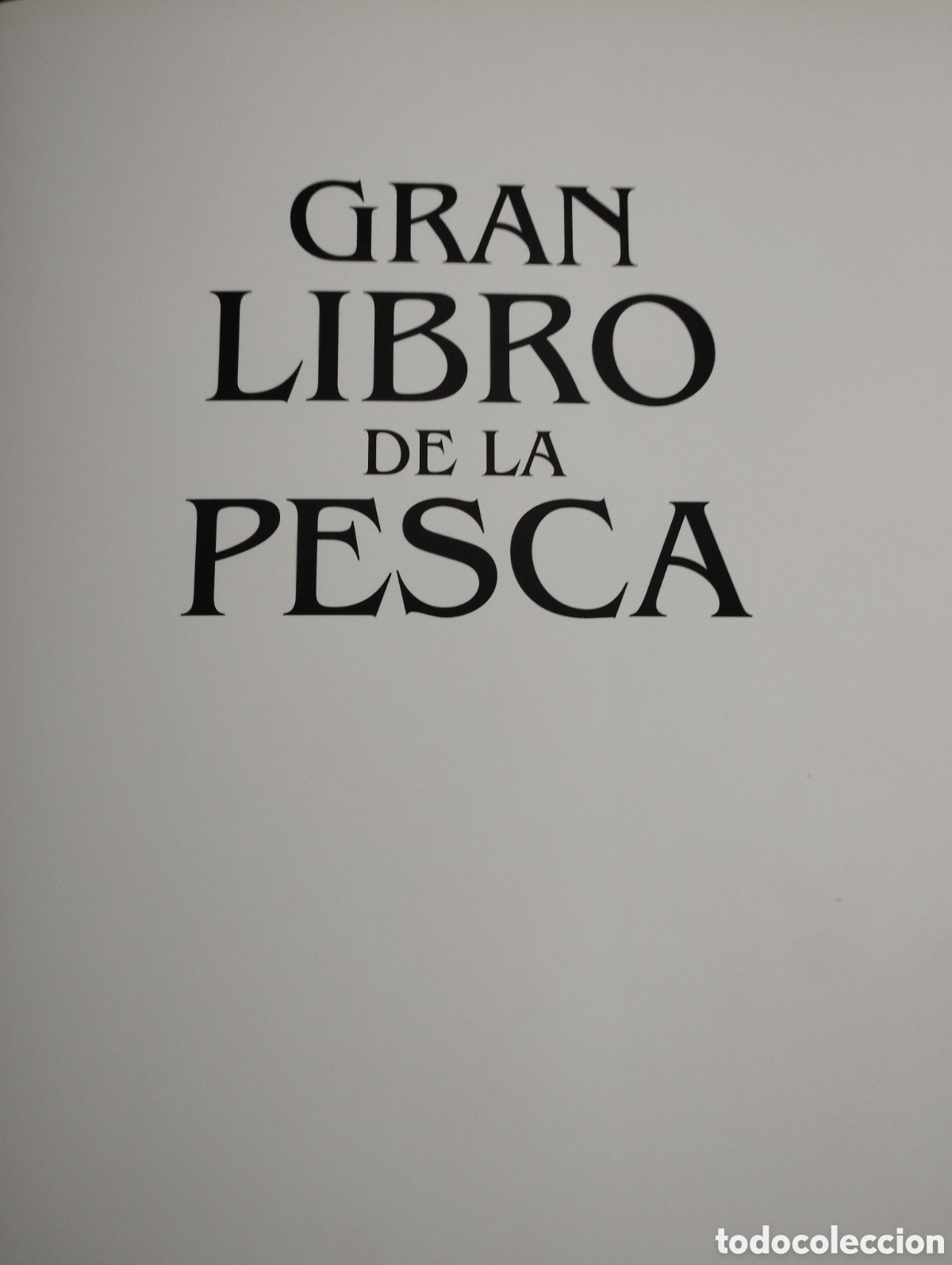 Libros de segunda mano: EL GRAN LIBRO DE LA PESCA (EDITORIAL LIBSA) - Foto 3