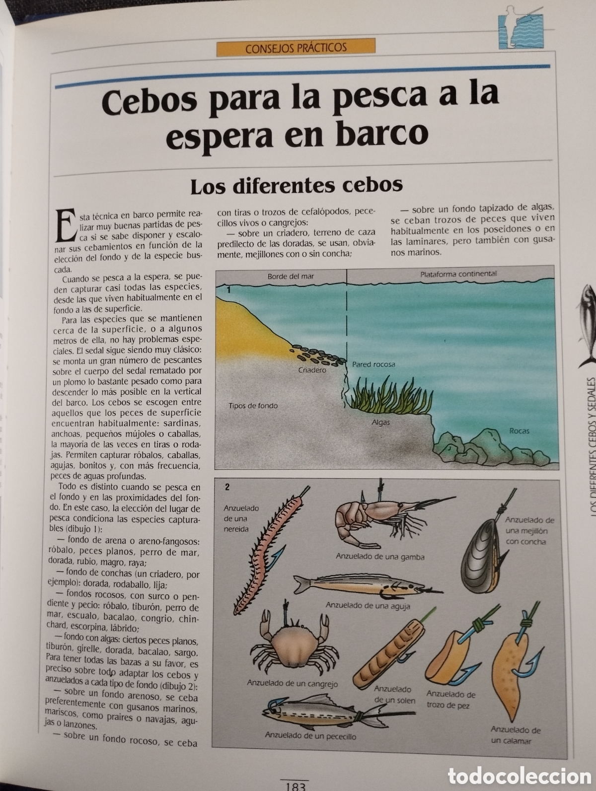 Libros de segunda mano: EL GRAN LIBRO DE LA PESCA (EDITORIAL LIBSA) - Foto 6