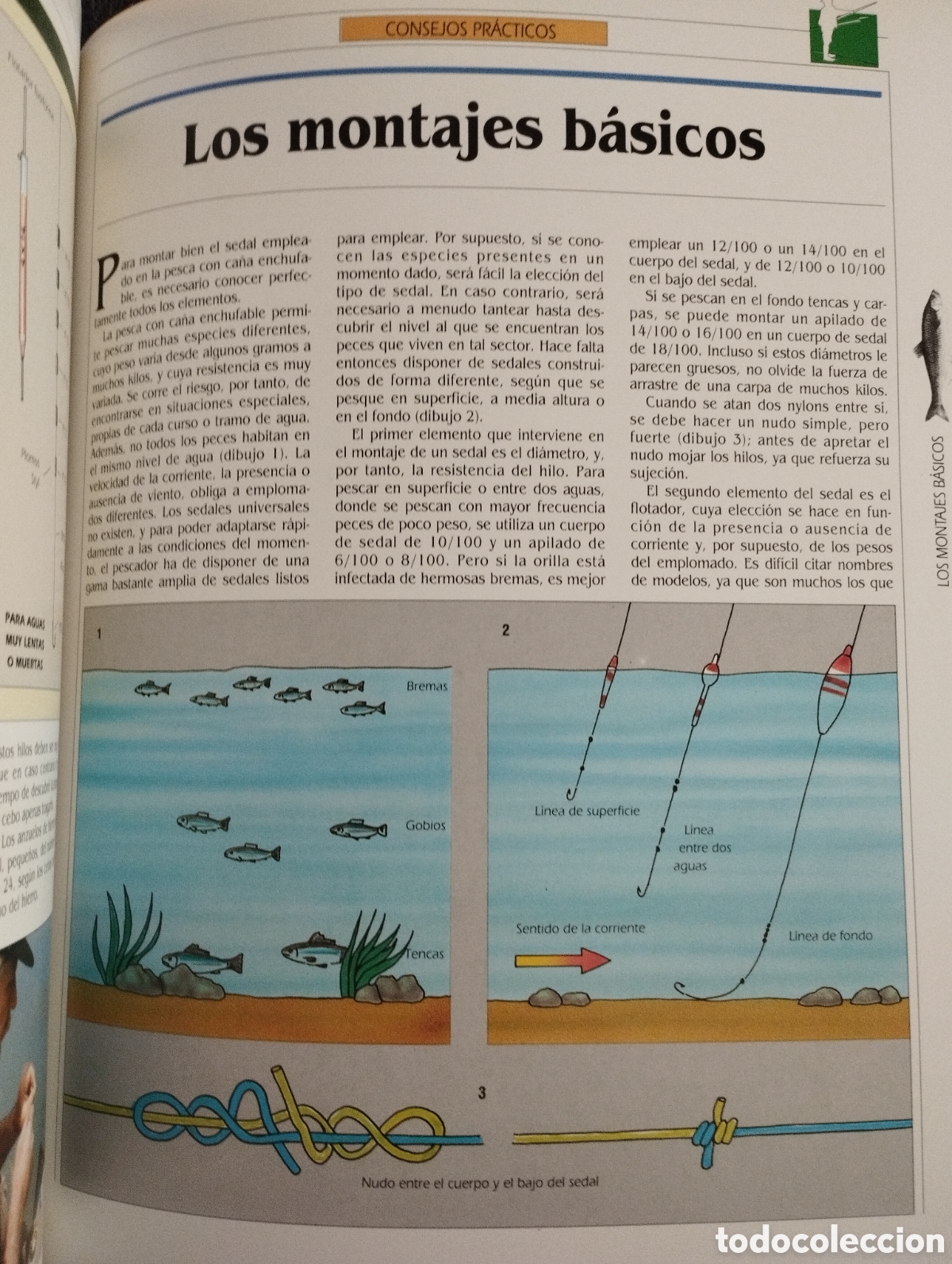 Libros de segunda mano: EL GRAN LIBRO DE LA PESCA (EDITORIAL LIBSA) - Foto 13
