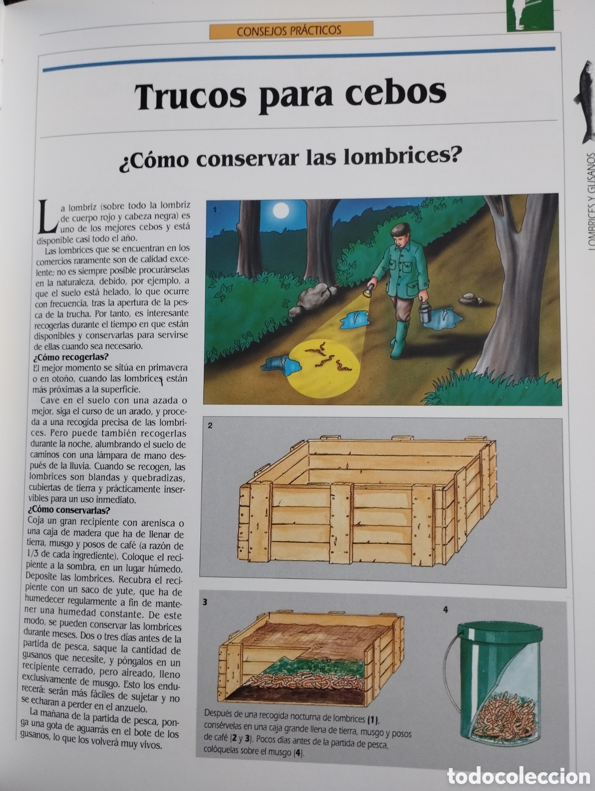 Libros de segunda mano: EL GRAN LIBRO DE LA PESCA (EDITORIAL LIBSA) - Foto 17