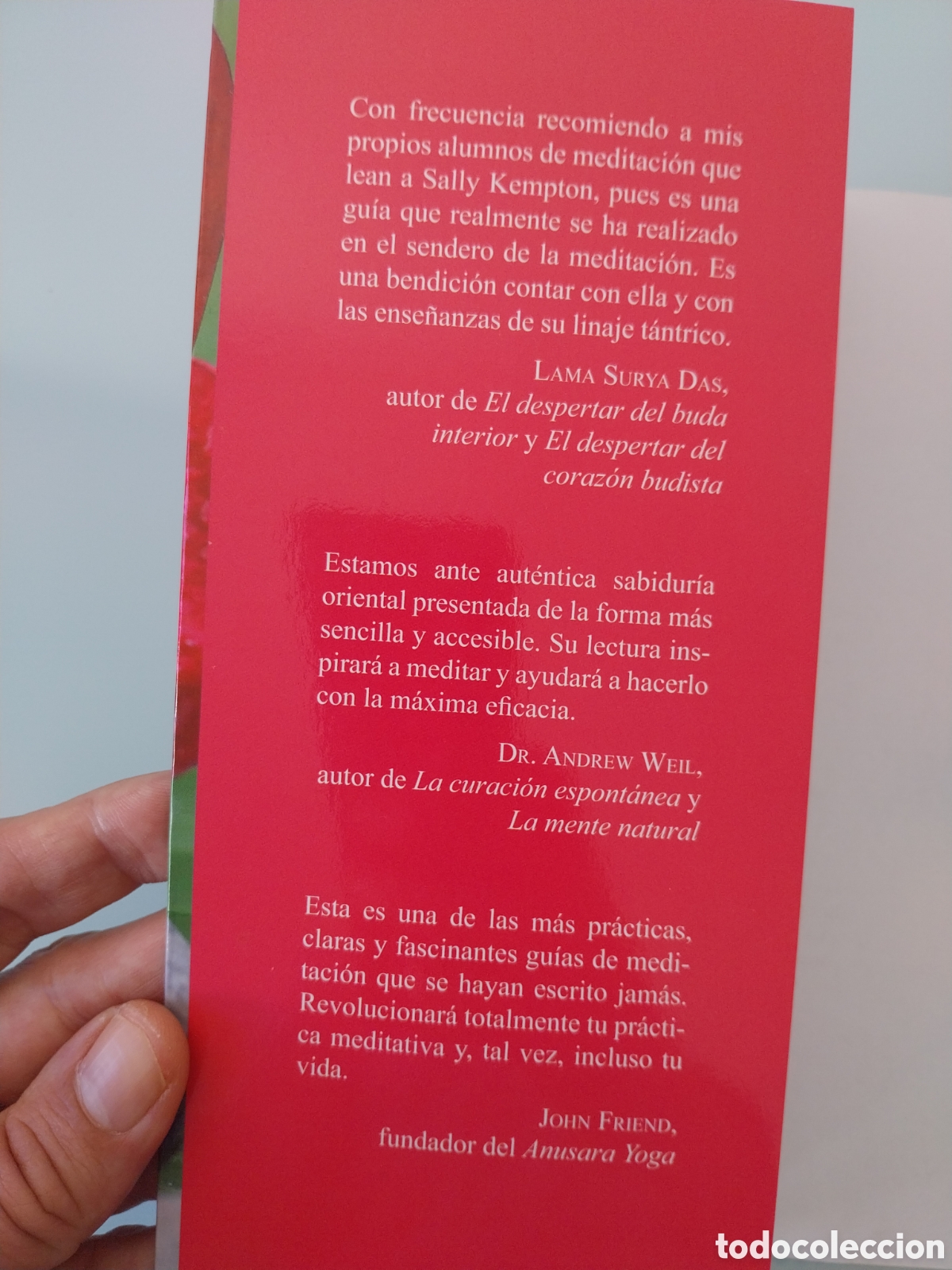Libros de segunda mano: EL PLACER DE MEDITAR de SALLY KEMPTON, EDITORIAL SIRIO - Foto 4