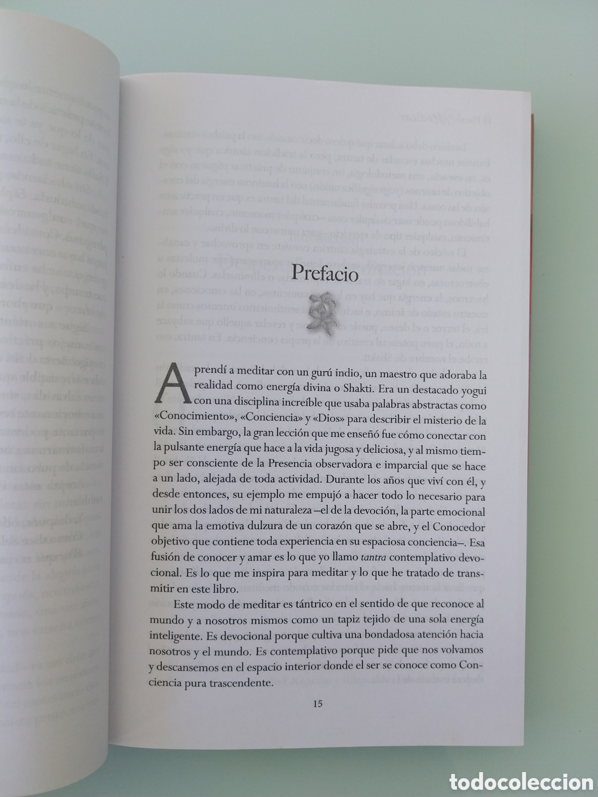 Libros de segunda mano: EL PLACER DE MEDITAR de SALLY KEMPTON, EDITORIAL SIRIO - Foto 7