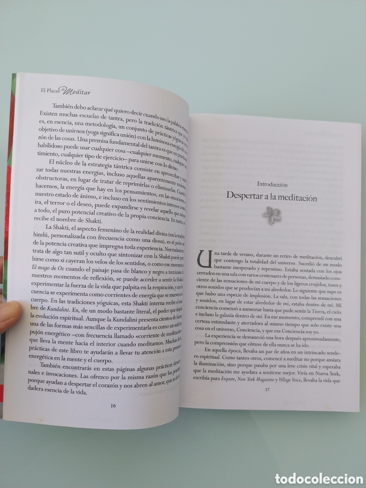 Libros de segunda mano: EL PLACER DE MEDITAR de SALLY KEMPTON, EDITORIAL SIRIO - Foto 8