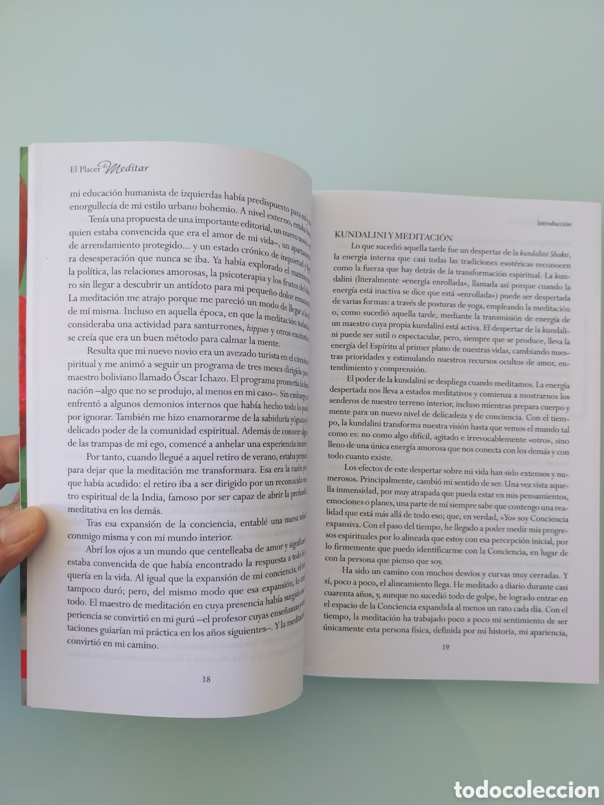 Libros de segunda mano: EL PLACER DE MEDITAR de SALLY KEMPTON, EDITORIAL SIRIO - Foto 9