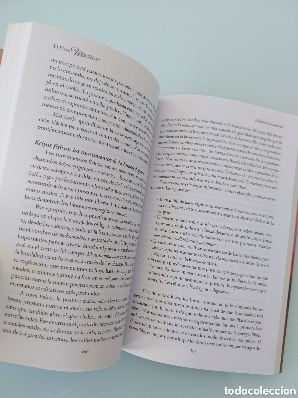 Libros de segunda mano: EL PLACER DE MEDITAR de SALLY KEMPTON, EDITORIAL SIRIO - Foto 11
