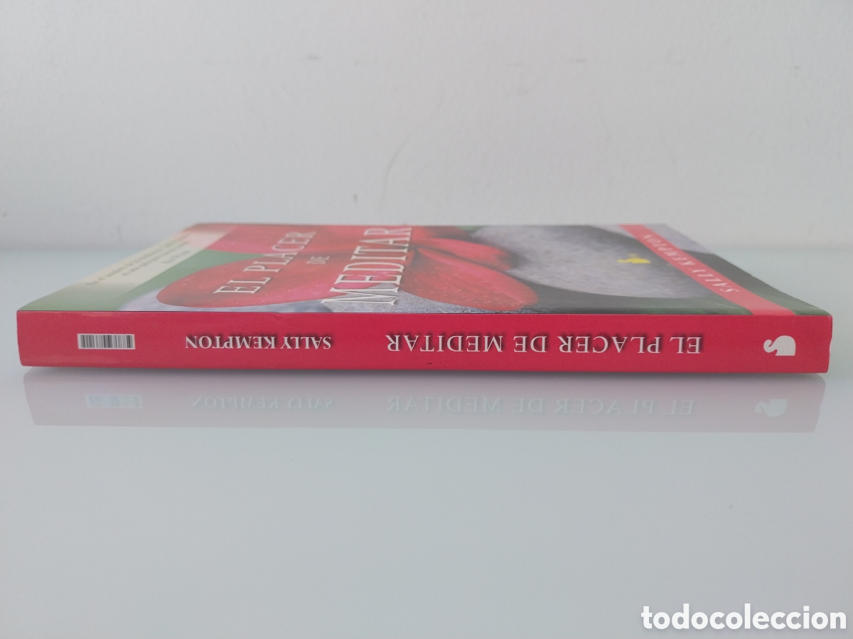 Libros de segunda mano: EL PLACER DE MEDITAR de SALLY KEMPTON, EDITORIAL SIRIO - Foto 12