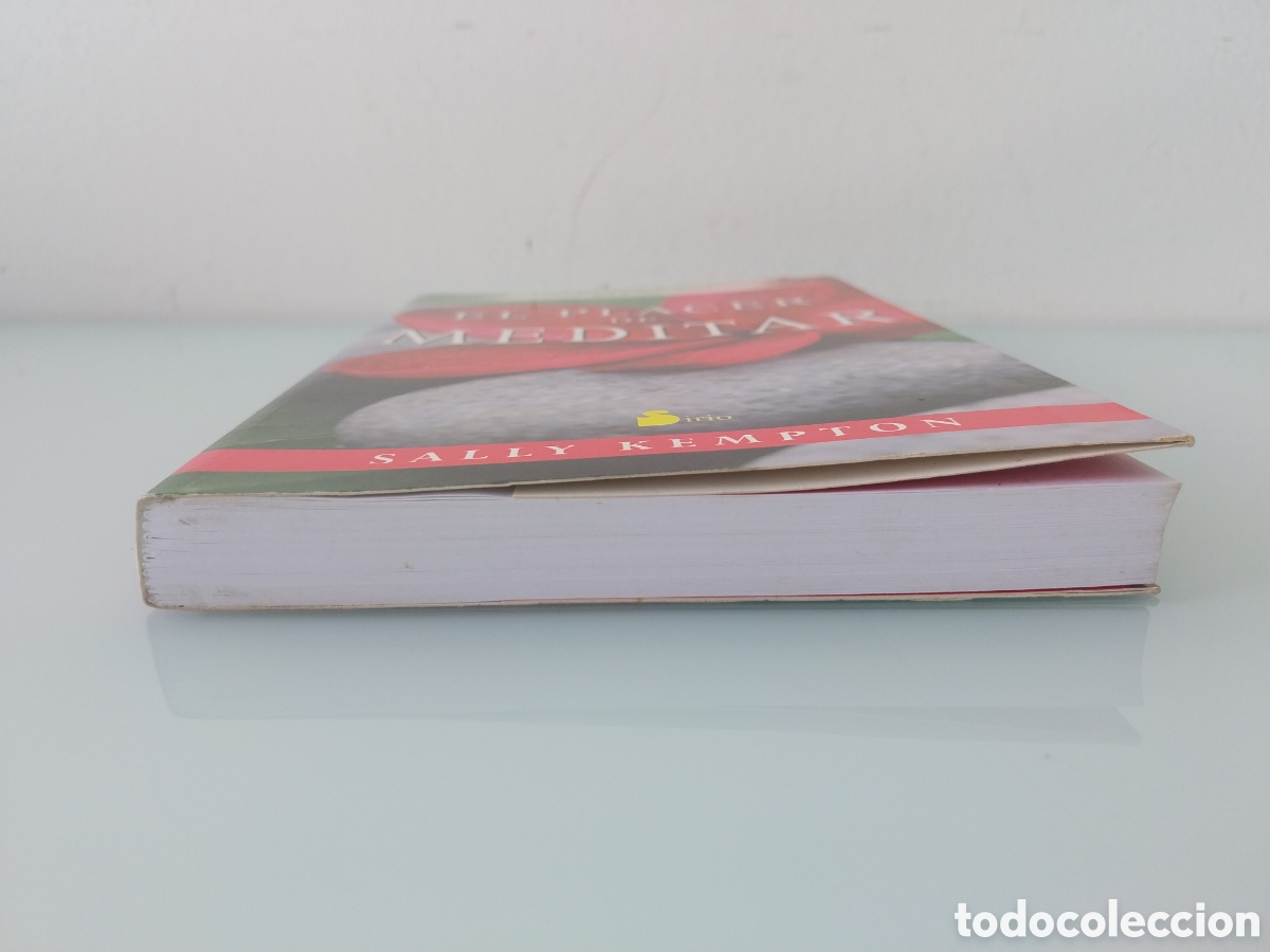 Libros de segunda mano: EL PLACER DE MEDITAR de SALLY KEMPTON, EDITORIAL SIRIO - Foto 13