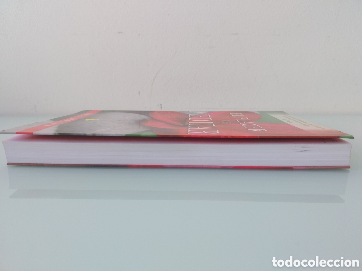 Libros de segunda mano: EL PLACER DE MEDITAR de SALLY KEMPTON, EDITORIAL SIRIO - Foto 14