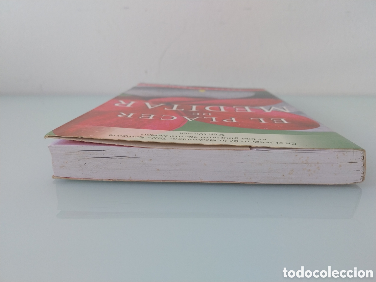 Libros de segunda mano: EL PLACER DE MEDITAR de SALLY KEMPTON, EDITORIAL SIRIO - Foto 15
