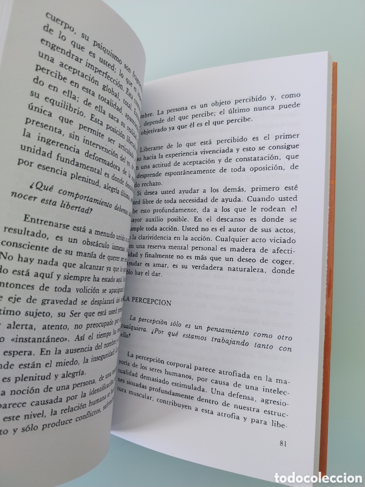 Libros de segunda mano: LA ALEGRIA SIN OBJETO de JEAN KLEIN, EDITORIAL LUIS CARCAMO EDITOR - Foto 12