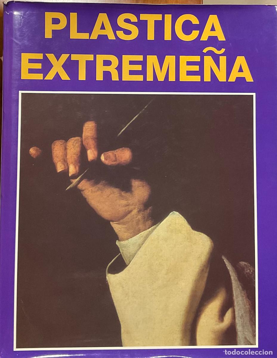 Libros de segunda mano: FT0517. Libro: Pl&aacute;stica Extreme&ntilde;a. Autor: M&ordf; del Mar Lozano - Foto 1