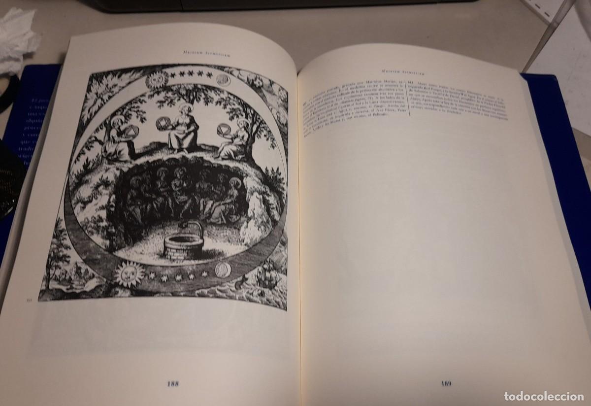 Libros de segunda mano: STANISLAS KLOSSOWSKI DE ROLA : EL JUEGO AUREO ( SIRUELA) - Foto 12