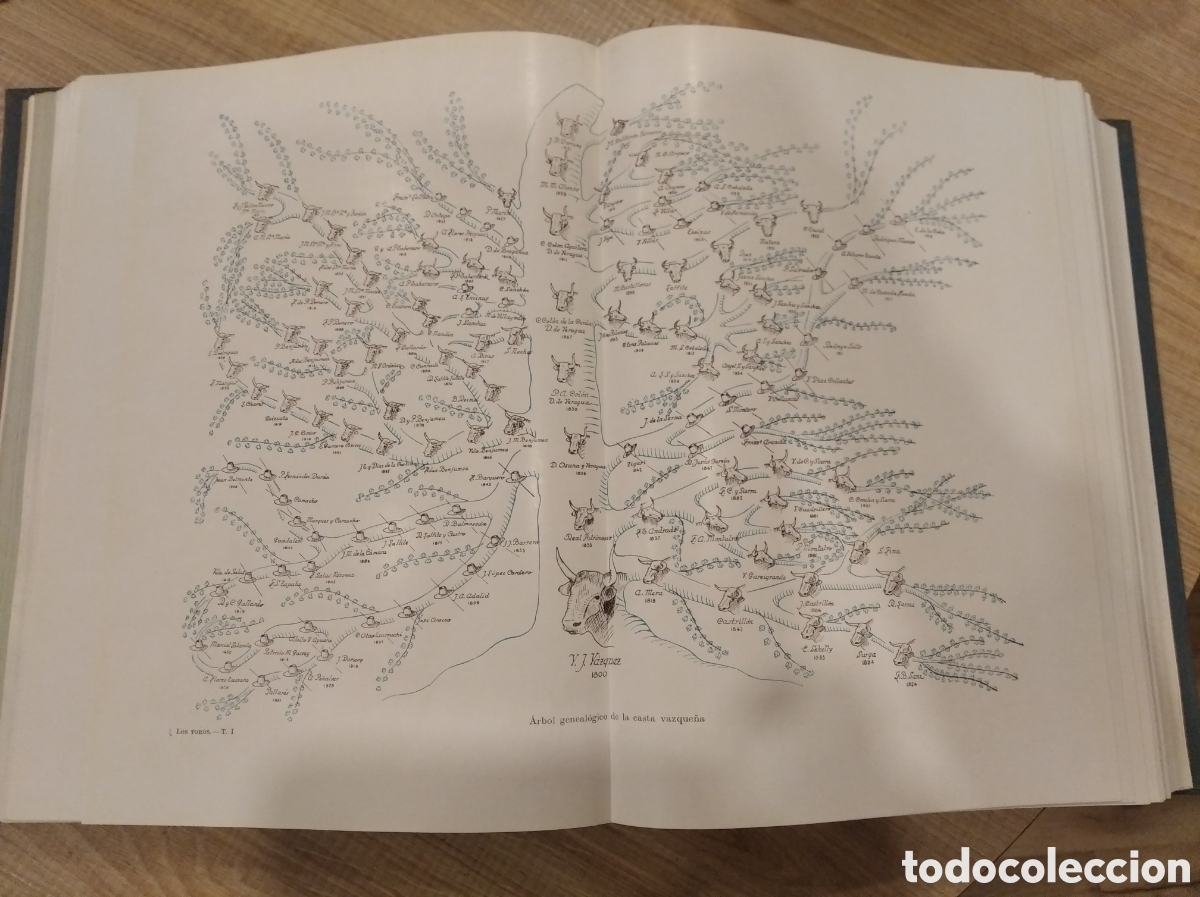 Libros de segunda mano: Colecci&oacute;n los toros tratado t&eacute;cnico e hist&oacute;rico - Foto 7
