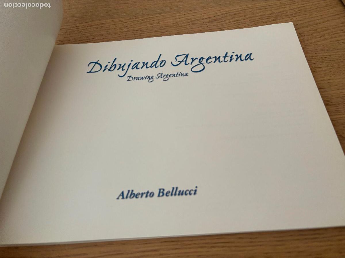 Libros de segunda mano: DIBUJANDO ARGENTINA - DRAWING ARGENTINA (RUSTICO) DE BELLUCCI ALBERTO - Foto 3