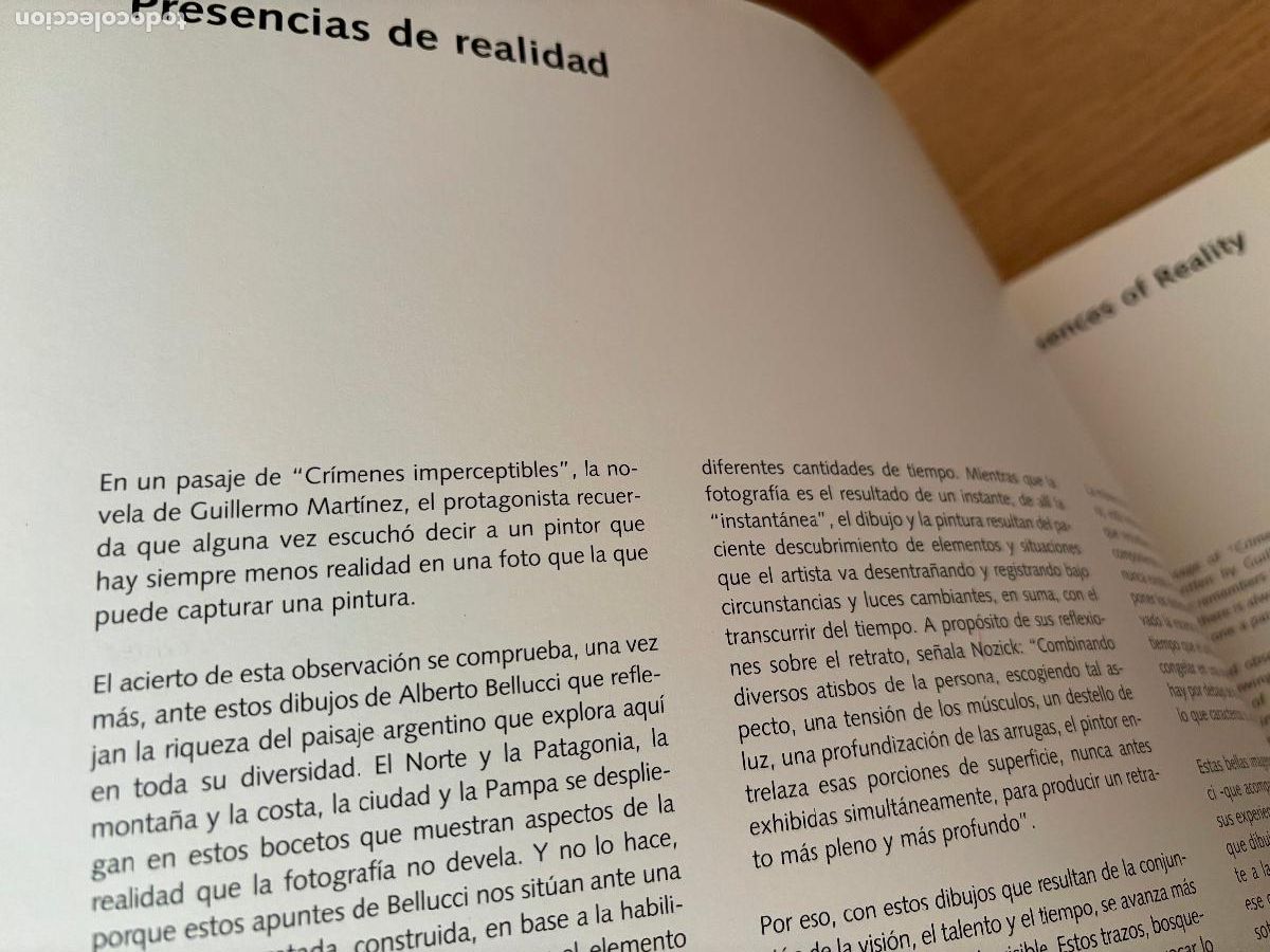 Libros de segunda mano: DIBUJANDO ARGENTINA - DRAWING ARGENTINA (RUSTICO) DE BELLUCCI ALBERTO - Foto 7