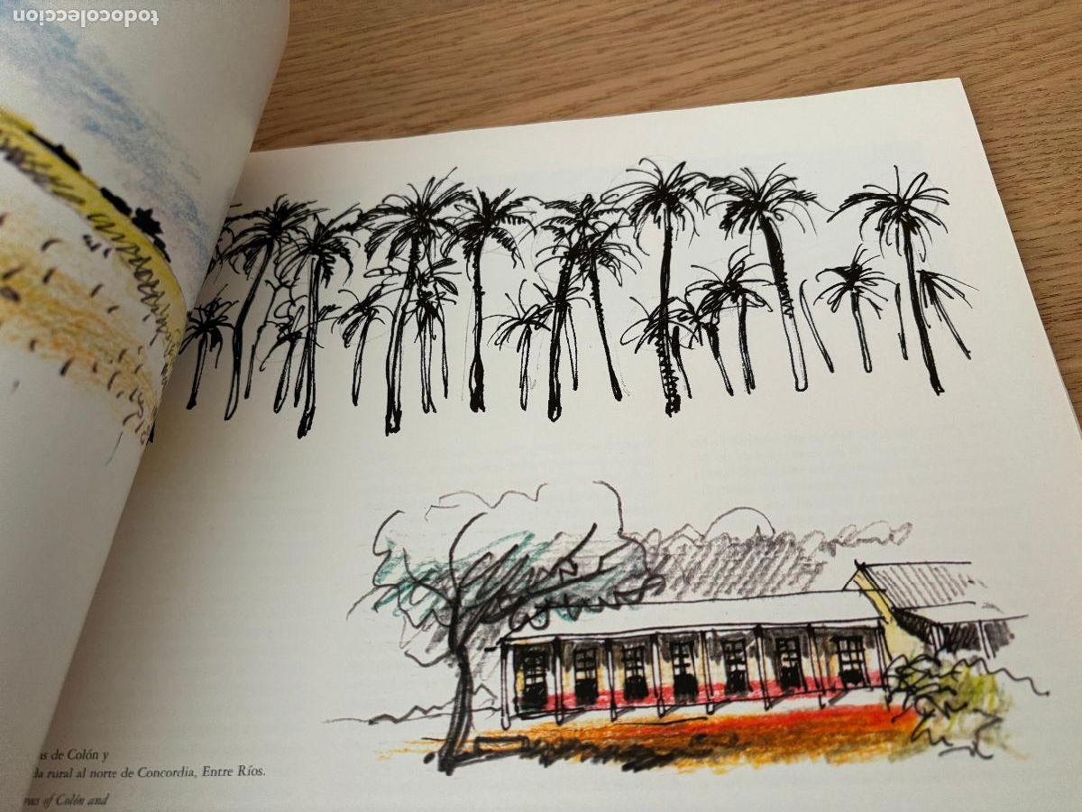 Libros de segunda mano: DIBUJANDO ARGENTINA - DRAWING ARGENTINA (RUSTICO) DE BELLUCCI ALBERTO - Foto 9
