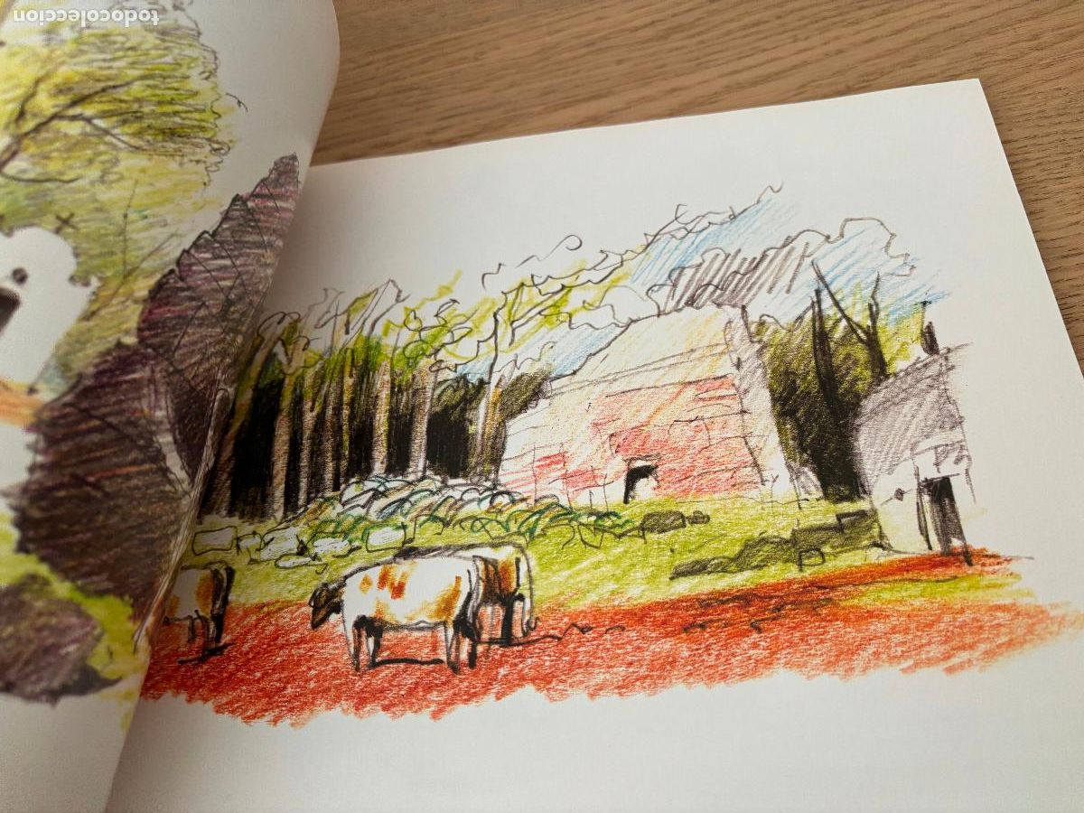 Libros de segunda mano: DIBUJANDO ARGENTINA - DRAWING ARGENTINA (RUSTICO) DE BELLUCCI ALBERTO - Foto 10